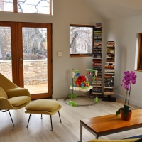 Bucktown renovation: Living room