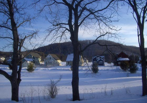 Empire, Michigan: Trees & Winter view