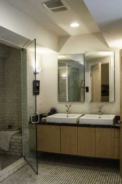 Lincoln Park Rehab: Master bathroom